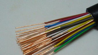 电话电缆市场价格分析 以20元每米五金渠道为例